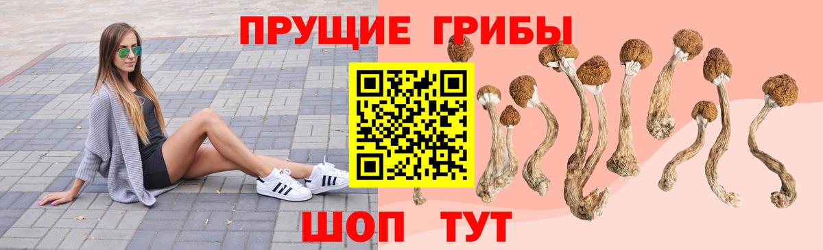 Миллерово  Псилоцибиновые грибы мухоморы  Вход с VPN  Галлюциногенные грибы Psilocybine cubensis 