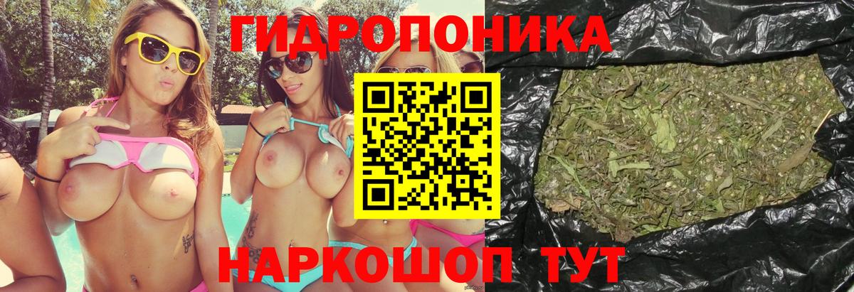 Бошки марихуана Amnesia  Конопля план  Миллерово  Бошки марихуана тримм  Вход с VPN 